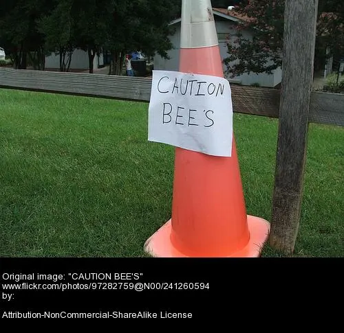 The Bee Connection - Creative Transformers