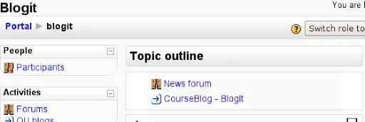 Blogs in Moodle
