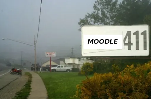 TxDLA09 - Moodle 411