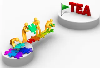 TEA Announces State-wide Professional Development Portal