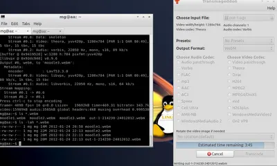 Convert OGV to WebM ubuntu lubuntu