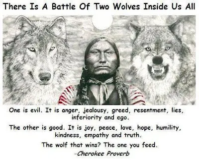 Wolf Wisdom - Starving Scorn in EdTech?