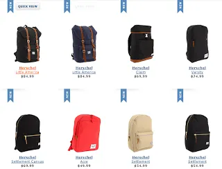 Selecting the Right One - Laptop Backpacks, Sleeves, etc.