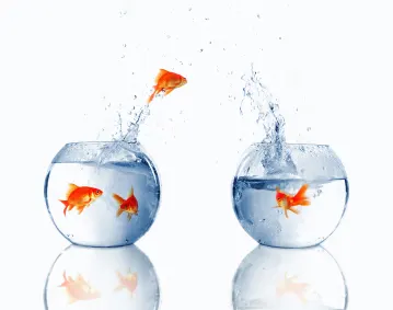 Reflections - Cloud Services To Rely On edchat @evernote