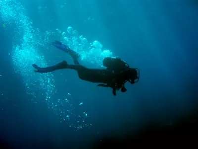 Diving Deep into PLNs twitter edchat cpchat hfsoars