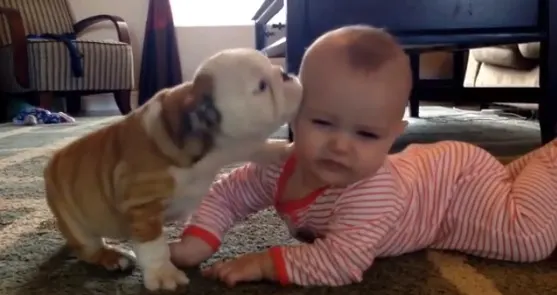 Don't Write Like a Puppy - 5 Tips