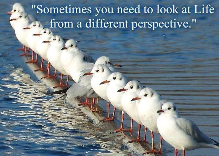 Understanding Your Value from Another's Perspective