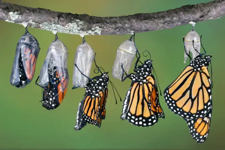 Tech Incorporated: 5 Transformations for Classrooms