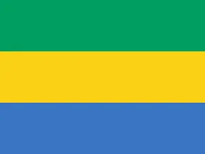 Going to Gabon:Tech Tips for an Educator