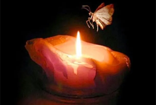 Reflecting on Grace