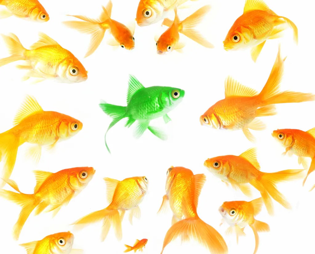13 Tips to Increase Your Reach