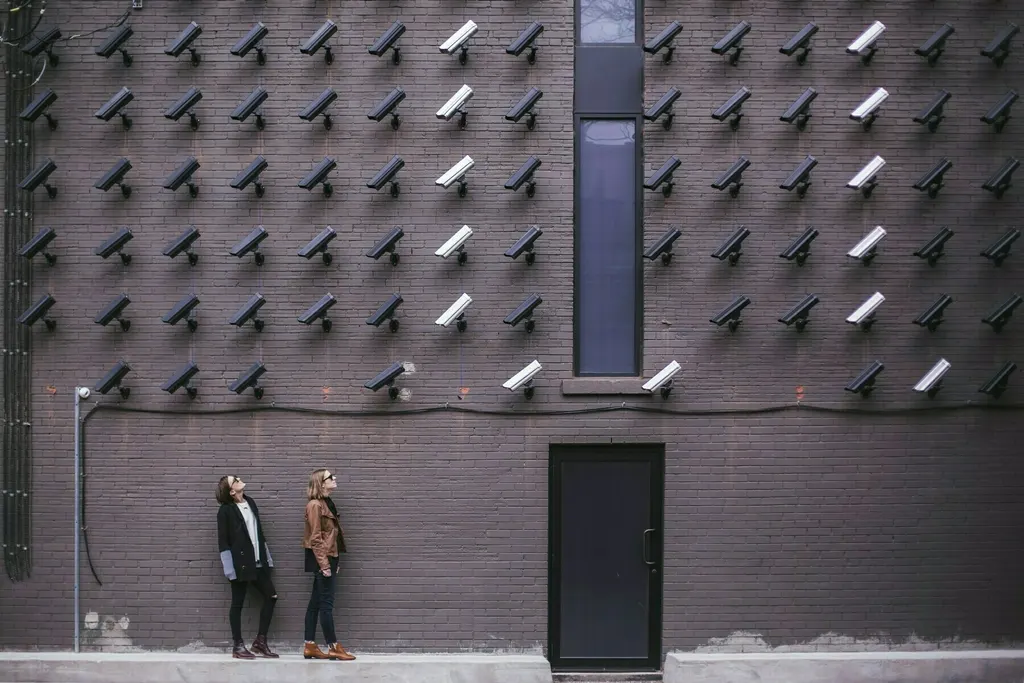 AI: Privacy is a Perk