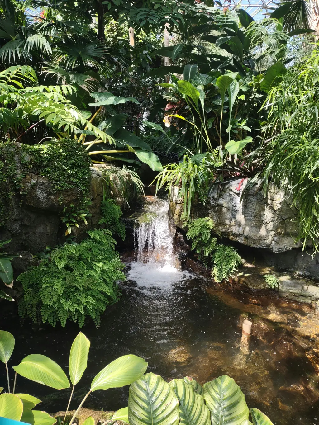 AI: A Snake in the Academic Garden of Eden