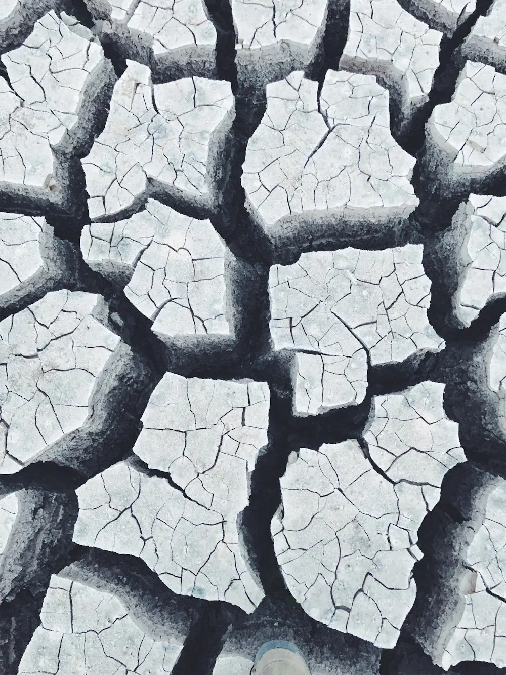 AI: Water Guzzlers Anonymous