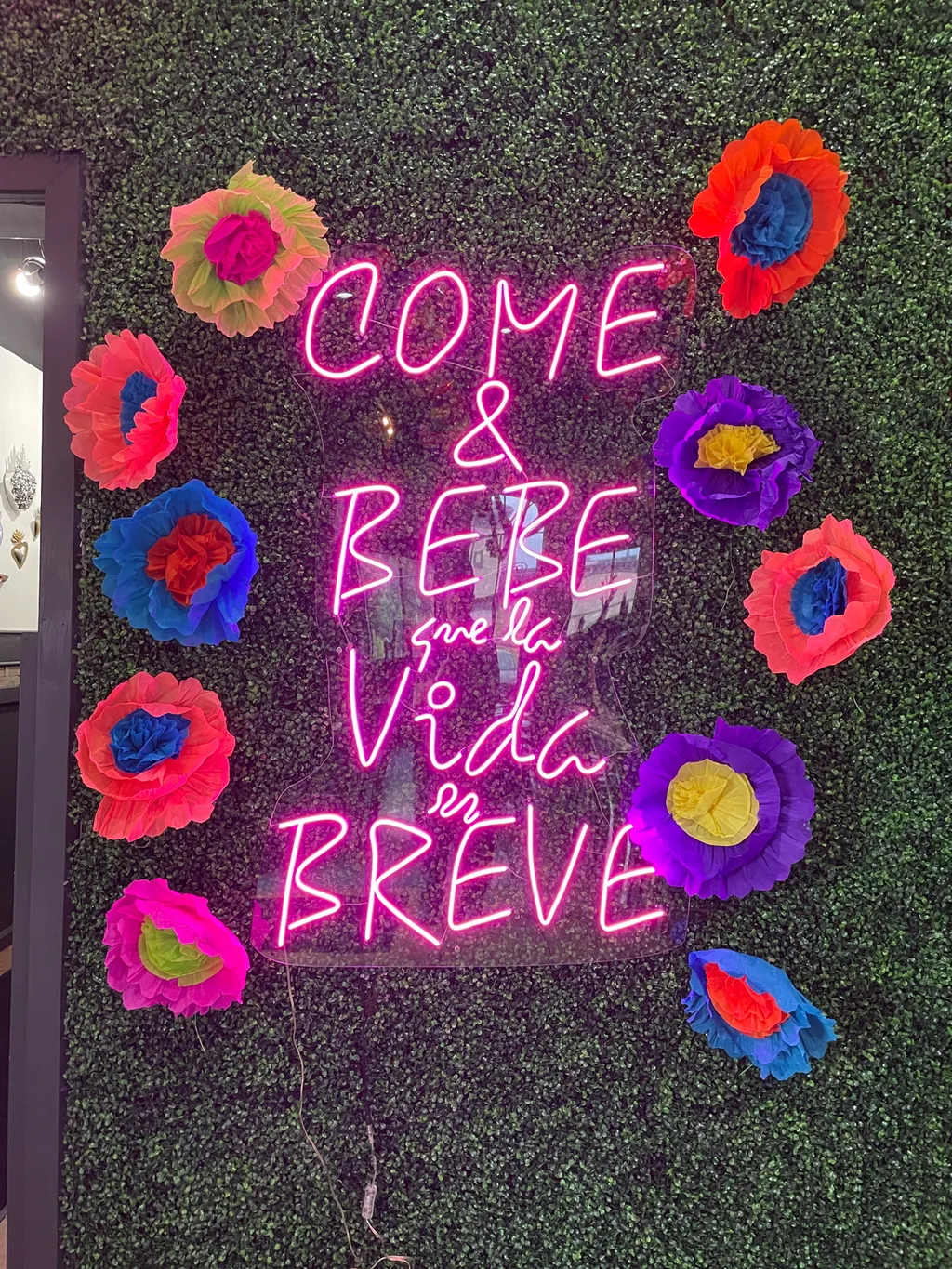 Drink and Eat for Life is Brief Food FriedEggs SanAntonio Texas