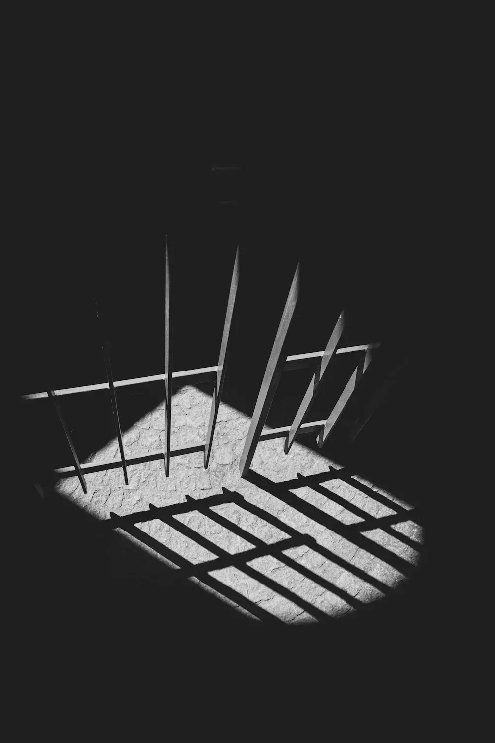 Criminalizing Being a Librarian