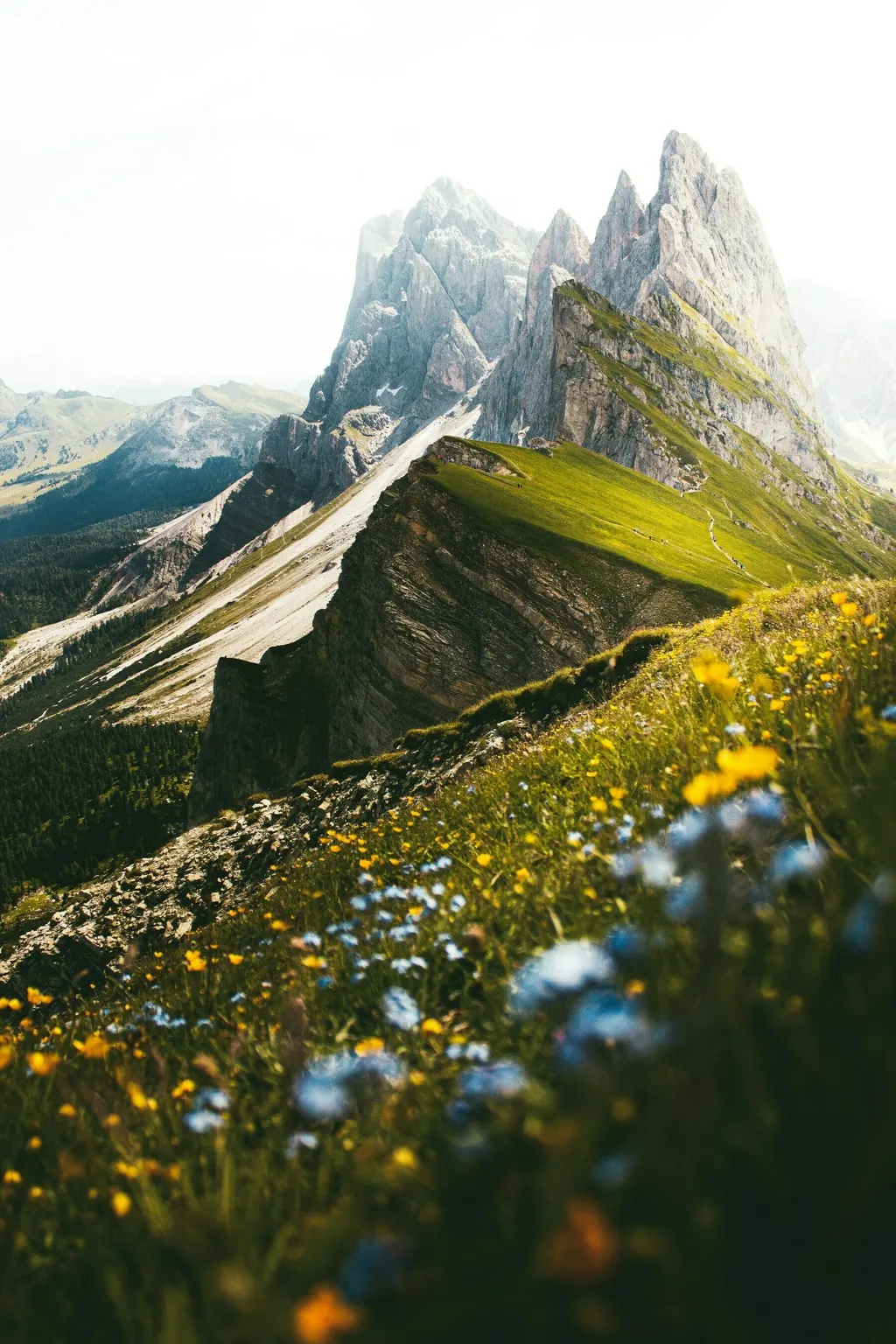 The Obstacle is The Way...and there is more than one stoicism stoic
