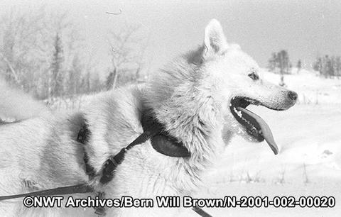 historical photos